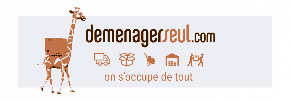 demenagerseul.com p1