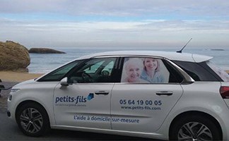 Petits-Fils, franchise d