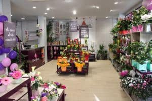 RAPID’FLORE – COEUR DE FLEURS – PREZ INT CDF – 7NOV2017