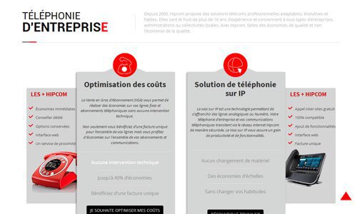 L&rsquo;opérateur de télécoms Hipcom veut se développer en franchise