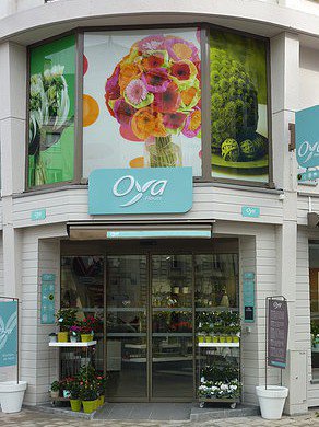 franchise-oya fleurs-devantue