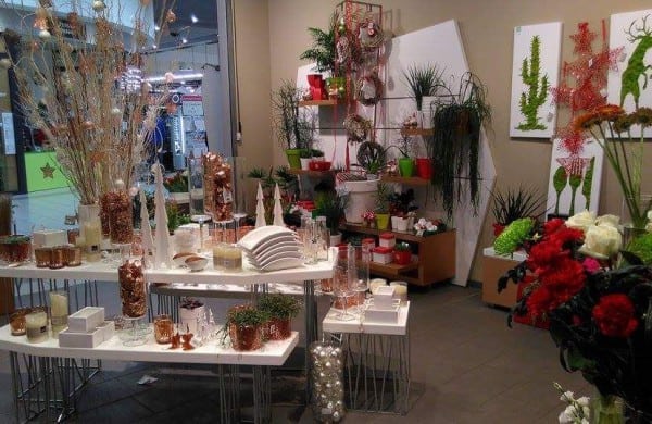 franchise-oya fleurs-interieur