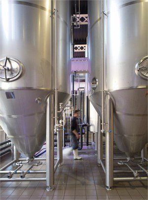 NINKASI – CONCEPT