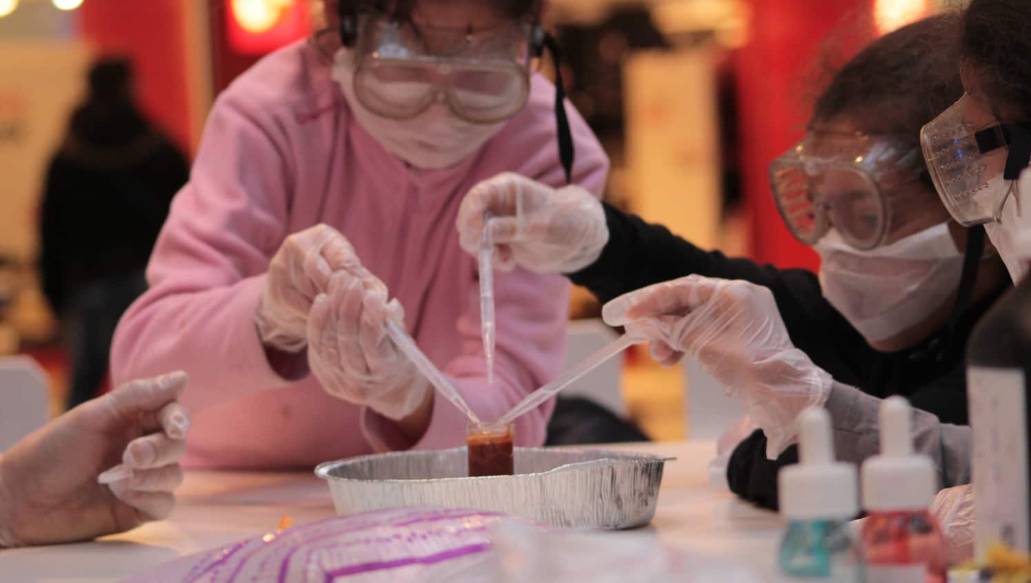 Le réseau Les Savants Fous a atteint la vingtaine de franchisés