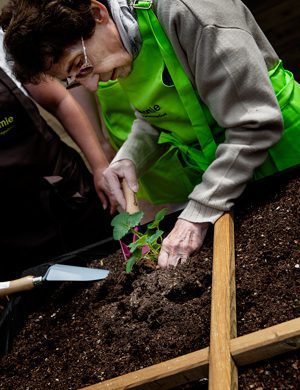 terramie-rejoignez-nous