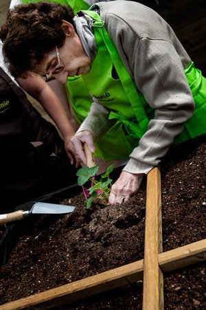 terramie-rejoignez-nous