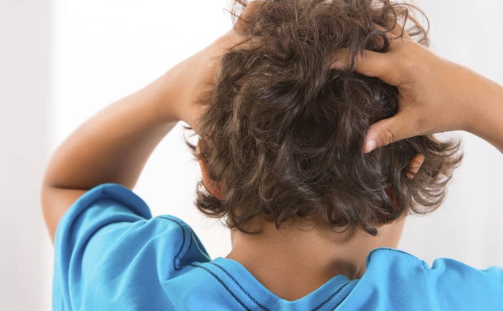 La traque des poux, un métier en pleine croissance