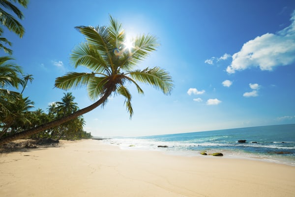 Devenir franchisé dans les loisirs et les voyages : combien ça coûte ?