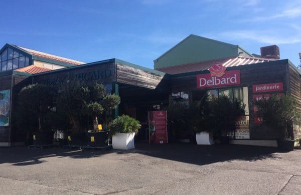 Facade-delbard-marseille