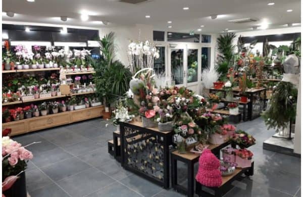 Monceau Fleurs – 13janv2020 – 2