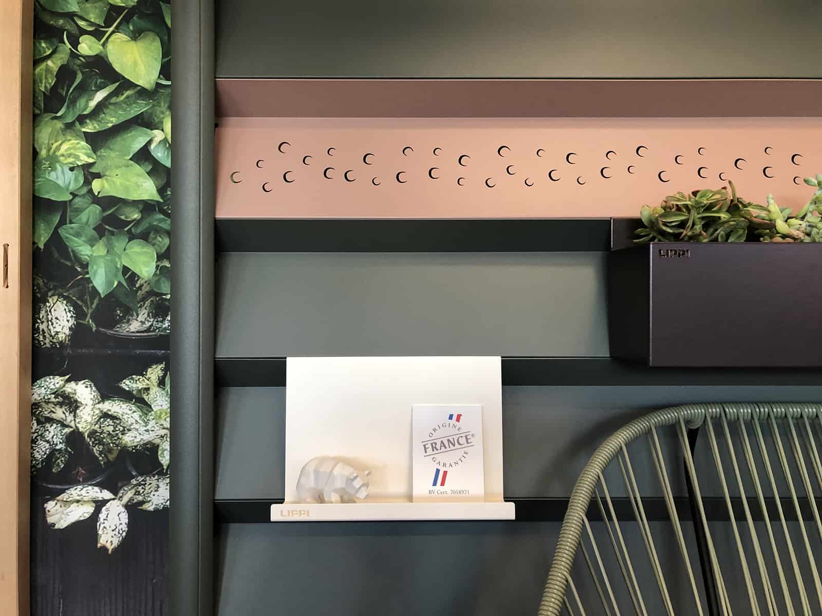 Le réseau Lippi, spécialiste de l’aménagement extérieur, revoit son concept magasin