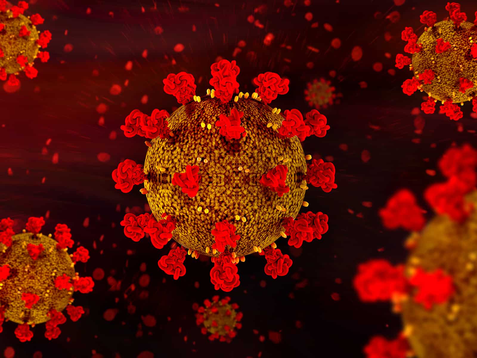 La crise Covid : et après ? Des franchiseurs témoignent