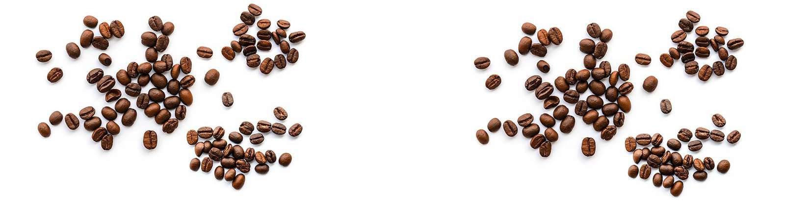 Litha Espresso, une franchise en pleine croissance