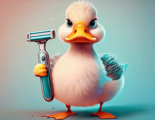 Capture d’écran 2024-10-31 151303