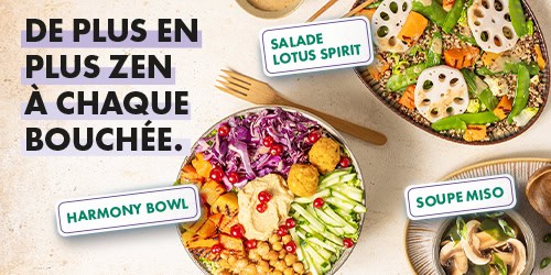 bannieres-500×250-2-2