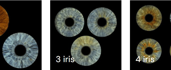 Capture d’écran 2024-12-17 153023