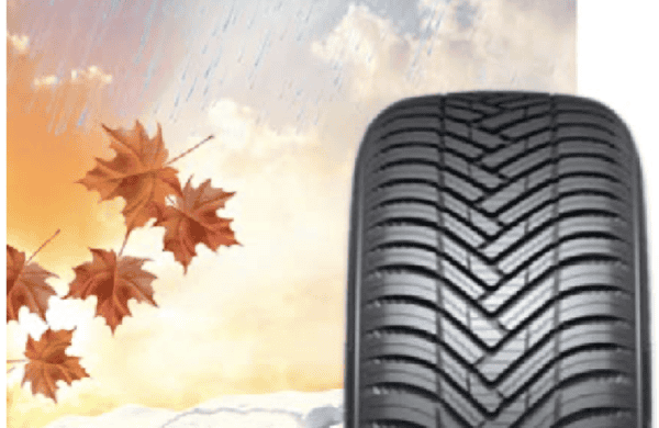 Capture d’écran 2025-02-26 à 11.25.48