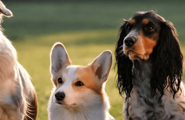 Capture d’écran 2025-03-27 165854