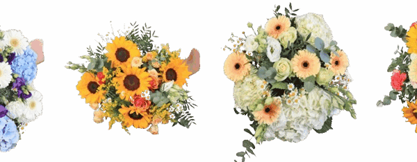 Image1-removebg-preview