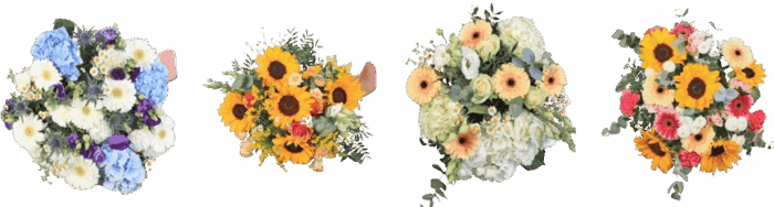 Image1-removebg-preview