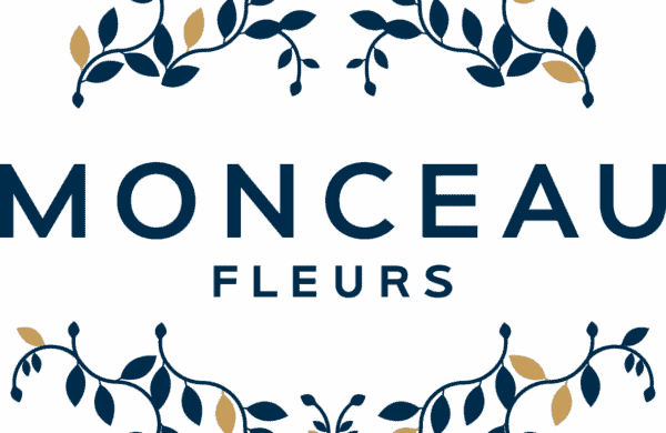 a2f42e_9d81d6e86ce14444bacb66a43089298e~mv2