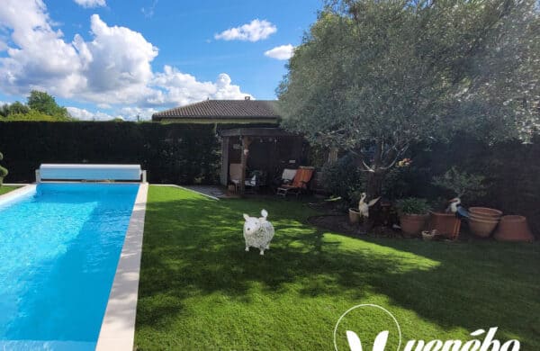 Contour de piscine en gazon synthétique par le réseau Vérébo