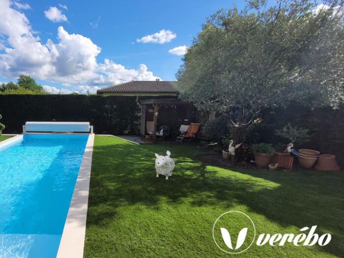 Contour de piscine en gazon synthétique par le réseau Vérébo