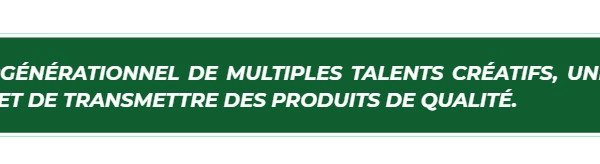 zumo-removebg-preview