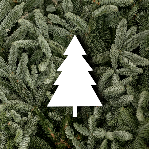 ecosapin