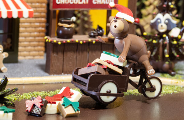 Visuel Focus vitrine 2