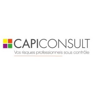 CAPI CONSULT