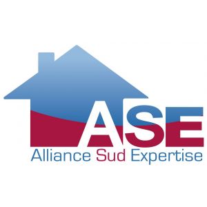 ALLIANCE SUD EXPERTISE (ASE)