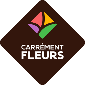 CARRÉMENT FLEURS