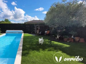 Contour de piscine en gazon synthétique par le réseau Vérébo