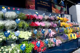 Ouvrir Une Franchise Monceau Fleurs Pour Devenir Franchisé