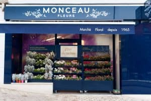 Monceau-Fleurs-Meudon