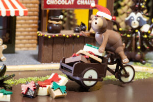 Visuel Focus vitrine 2