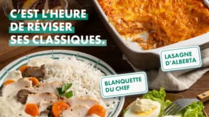 bannieres-800×450-2-1-ter