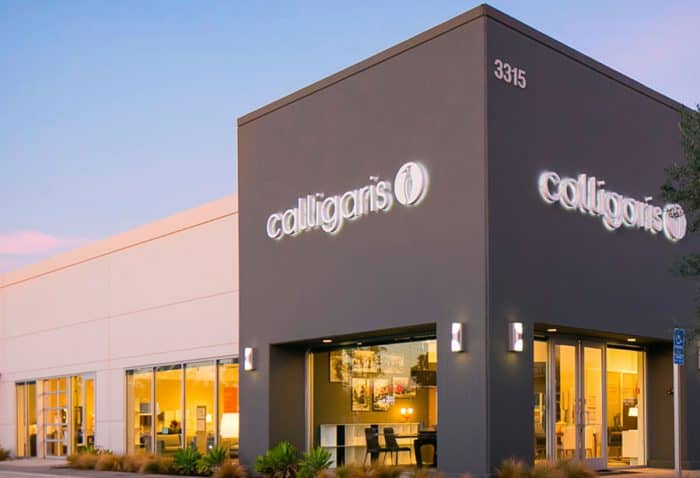 calligaris 2 – janv2019