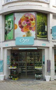 franchise-oya fleurs-devantue