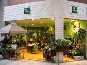 franchise-oya fleurs-galerie