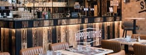 hippopotamus – 3- 10dec2019