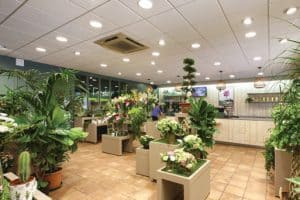 le jardin des fleurs – 1 – 5nov2019