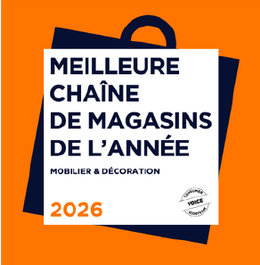 meilleure chaine de magasins de l’année