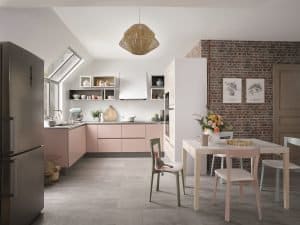 schmidt – CLA_COLOR PETALE DE ROSE 1 HD